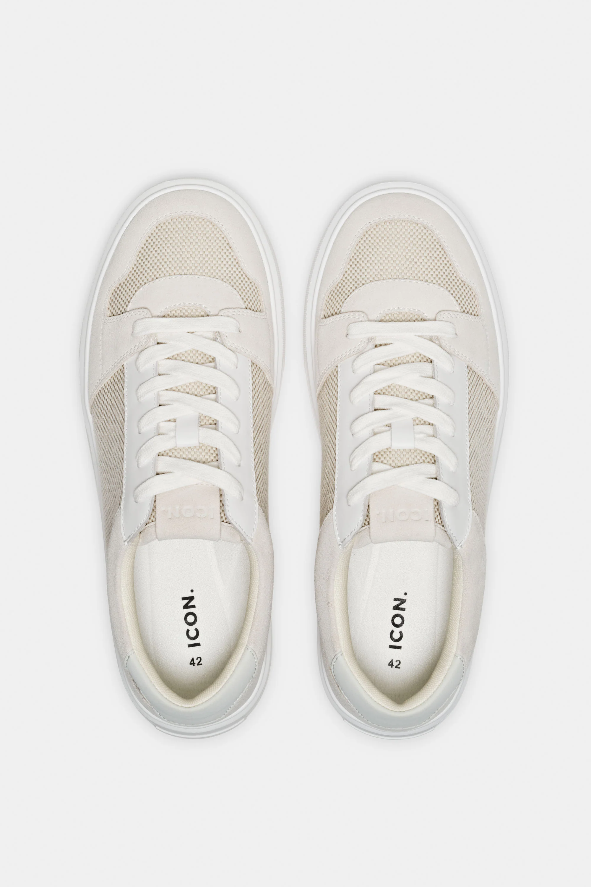 THE PAVIO TRAINER - Image 10